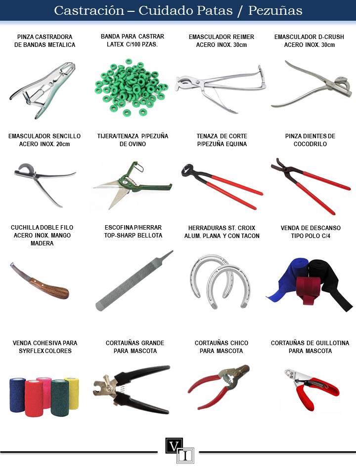 Veterinaria Instrumental | Instrumental y accesorios